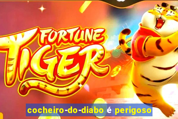 cocheiro-do-diabo é perigoso