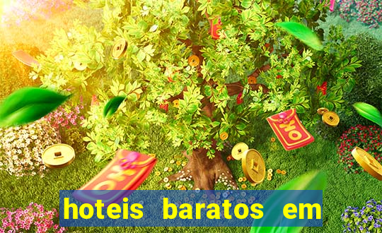 hoteis baratos em cruzeiro sp