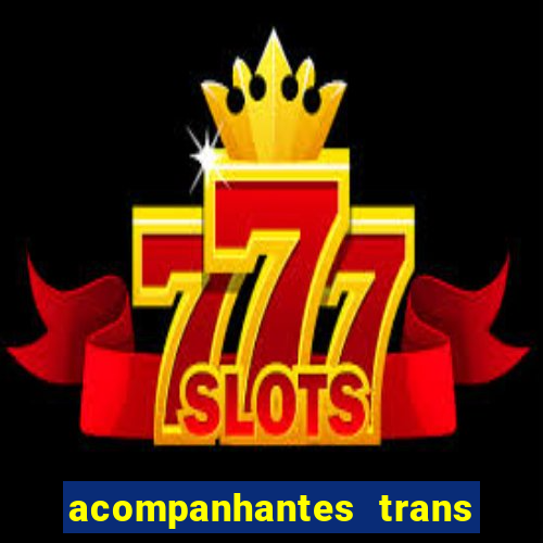 acompanhantes trans baixada fluminense