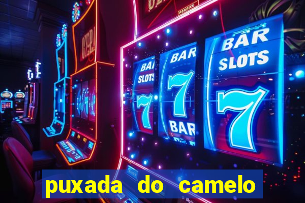 puxada do camelo no jogo do bicho