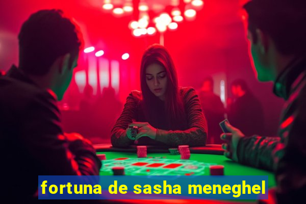 fortuna de sasha meneghel