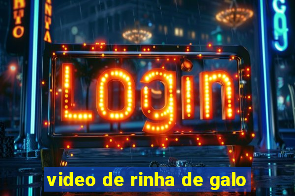 video de rinha de galo