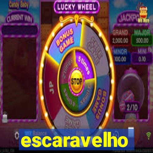 5588