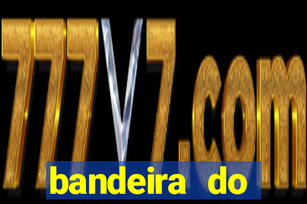 bandeira do flamengo para copiar