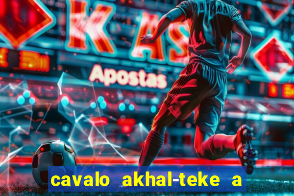 cavalo akhal-teke a venda no brasil cavalo akhal teke no