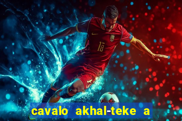 cavalo akhal-teke a venda no brasil cavalo akhal teke no