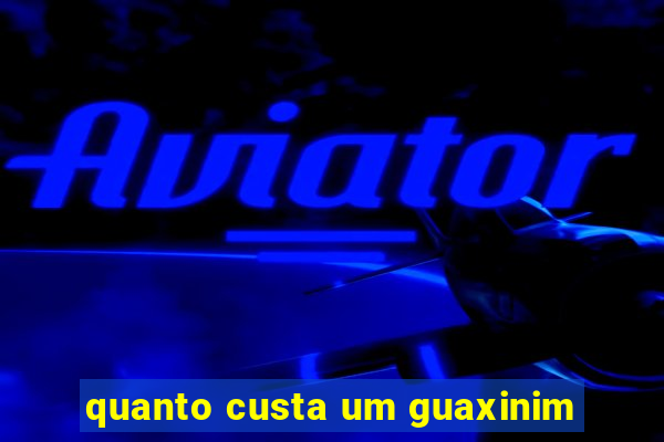 quanto custa um guaxinim