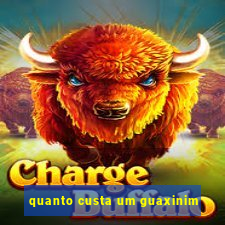 quanto custa um guaxinim