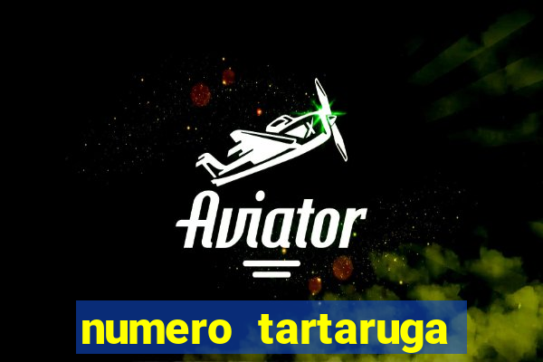 numero tartaruga jogo do bicho