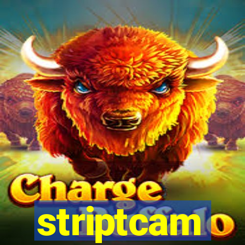 striptcam