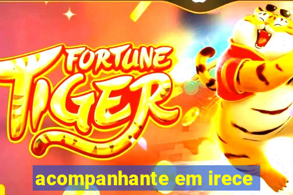 acompanhante em irece