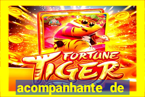 acompanhante de porto velho