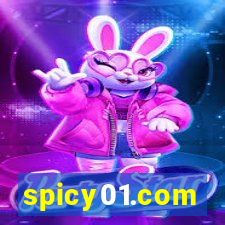 spicy01.com