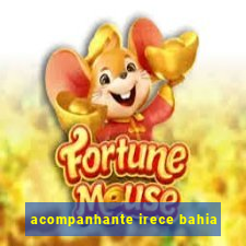 acompanhante irece bahia