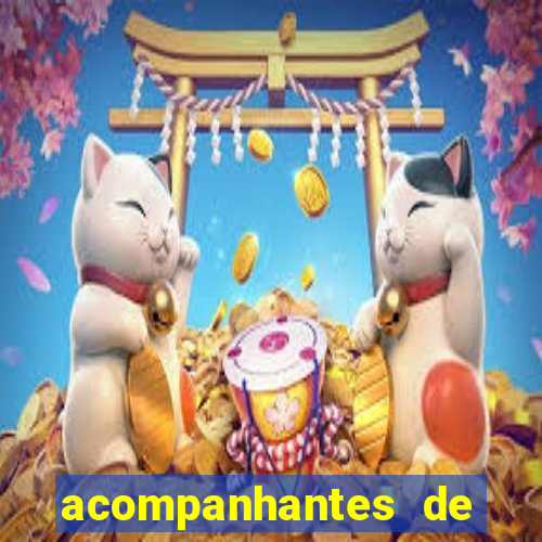 acompanhantes de luxo em salvador