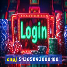 cnpj 51365893000100