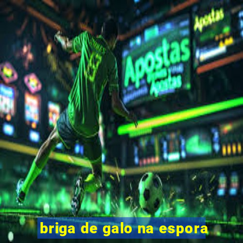 briga de galo na espora