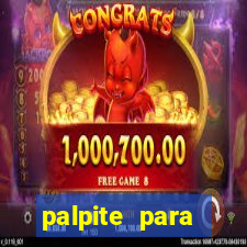 palpite para corujinha de hoje