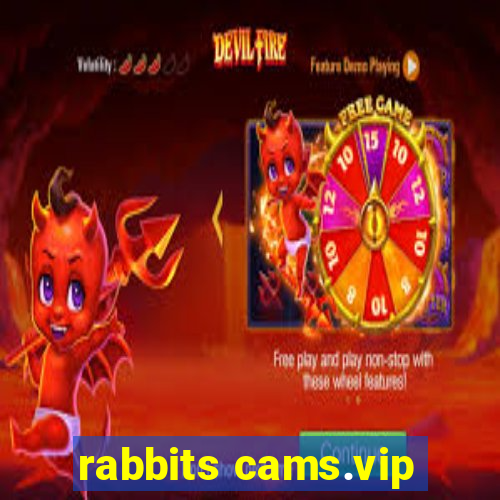 rabbits cams.vip