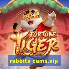 rabbits cams.vip