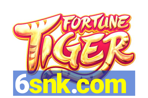 6snk.com