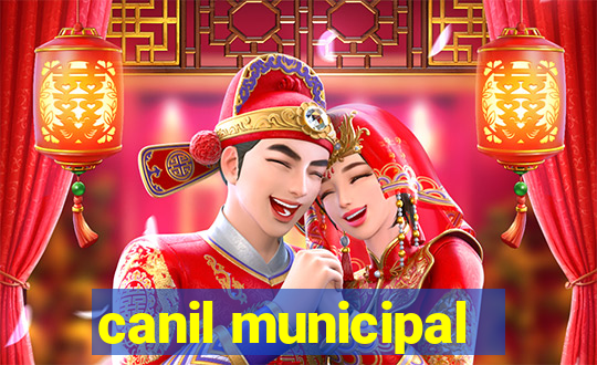 canil municipal