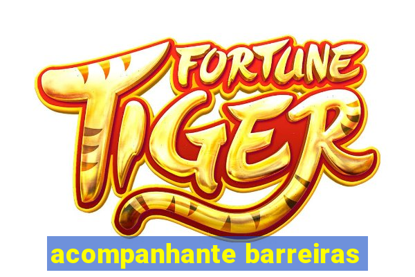acompanhante barreiras