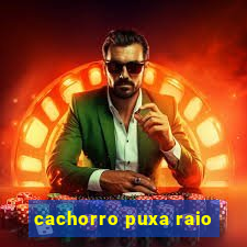 cachorro puxa raio