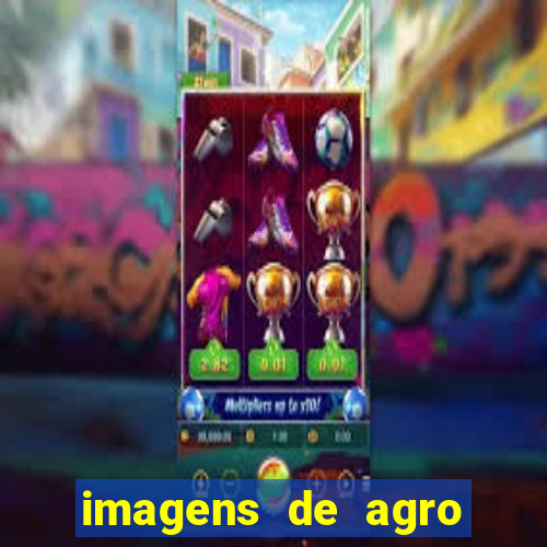 imagens de agro racoes guarani
