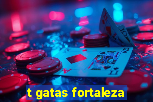 t gatas fortaleza