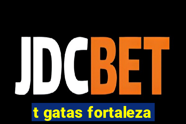 t gatas fortaleza