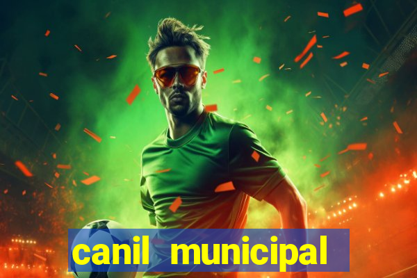 canil municipal porto alegre
