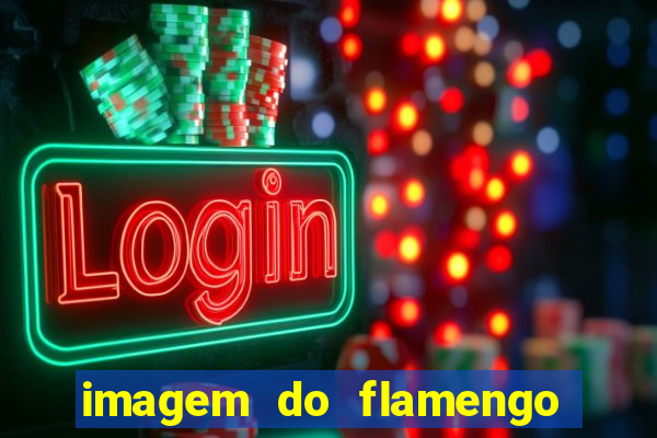 imagem do flamengo para perfil