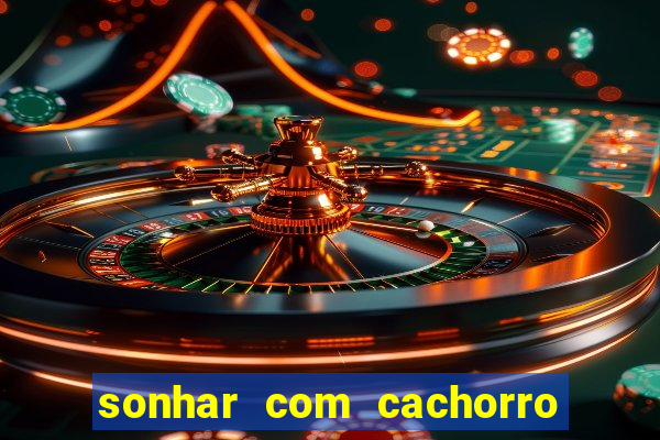 sonhar com cachorro morto jogo do bicho