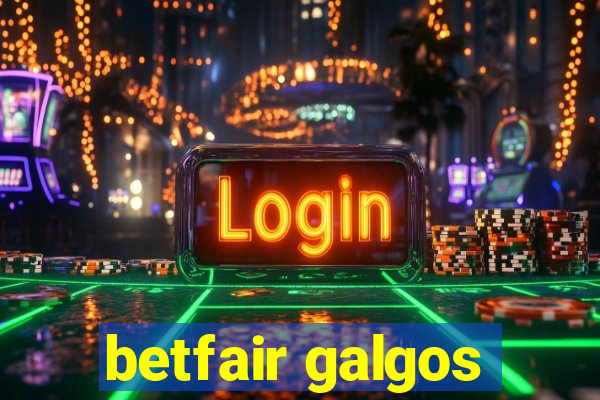 betfair galgos