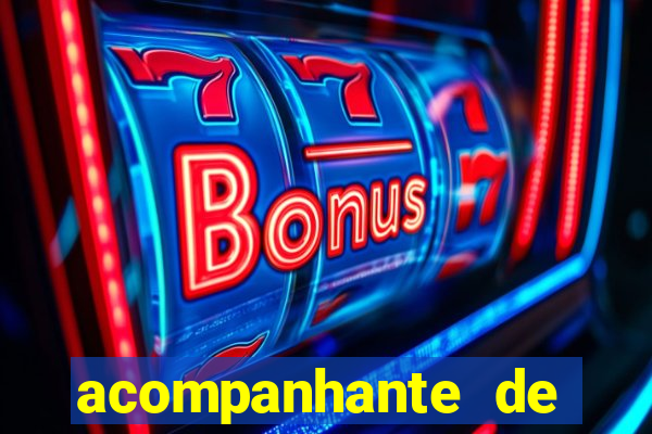 acompanhante de porto seguro