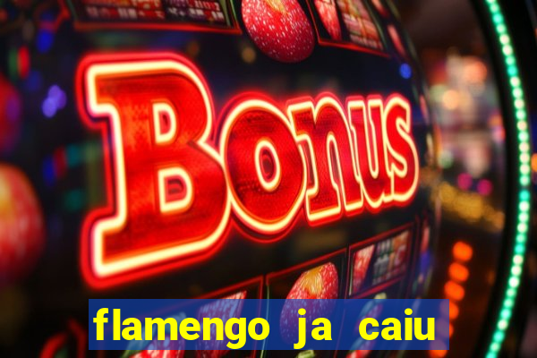 flamengo ja caiu para serie b