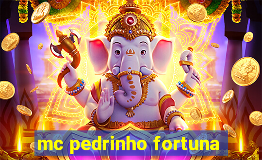 mc pedrinho fortuna
