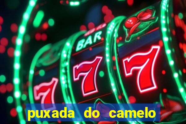 puxada do camelo jogo do bicho