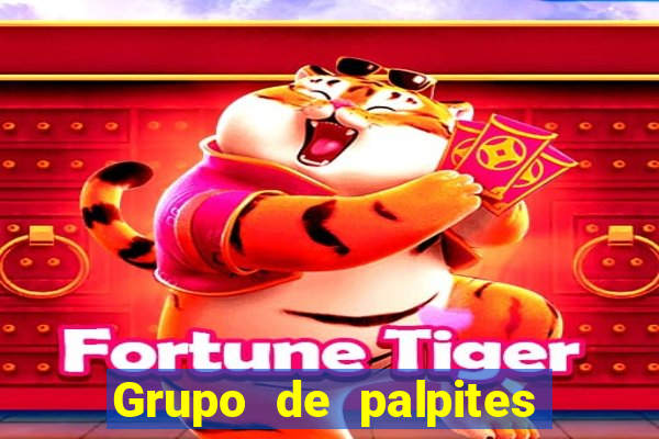 Grupo de palpites de futebol gratis