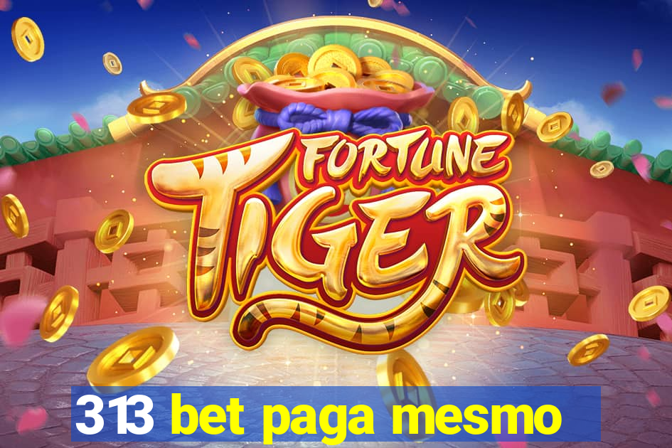 313 bet paga mesmo