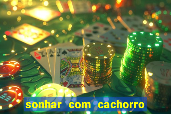 sonhar com cachorro numeros da mega sena