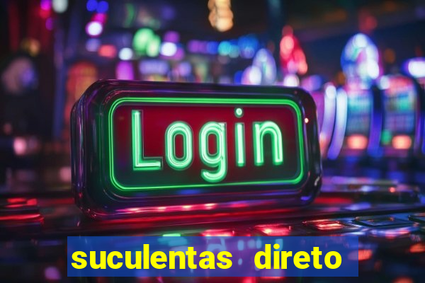suculentas direto do produtor rs