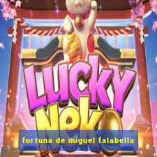 fortuna de miguel falabella