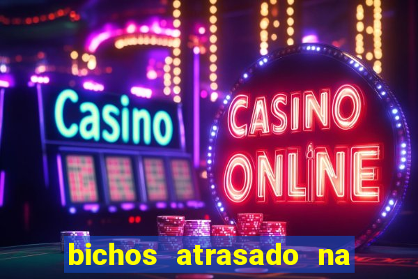 bichos atrasado na loteria dos sonhos