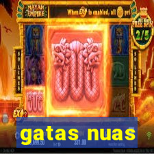 gatas nuas