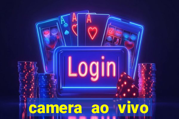camera ao vivo porto de galinhas