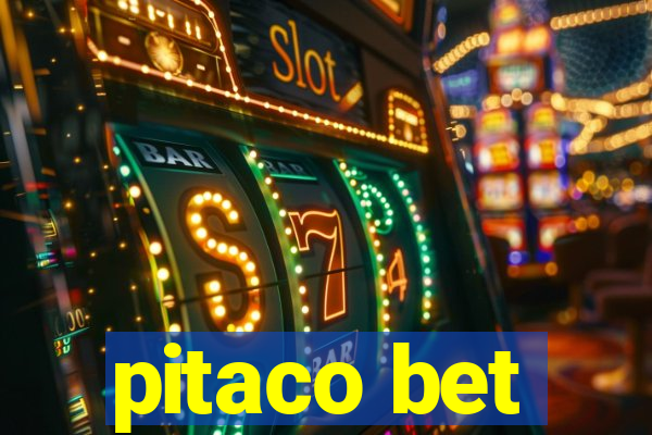 pitaco bet