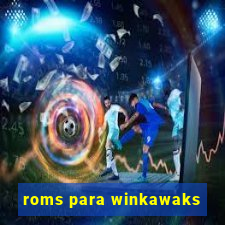 roms para winkawaks