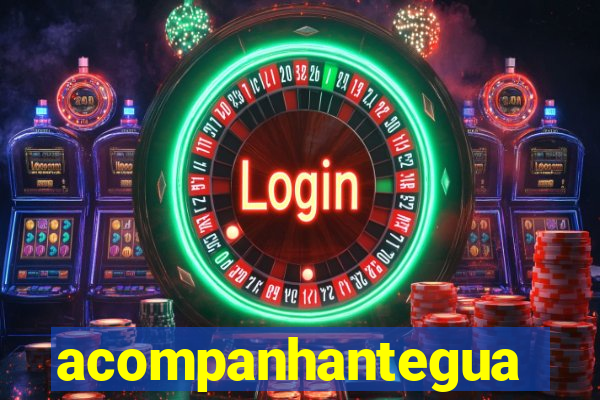 acompanhanteguanambi